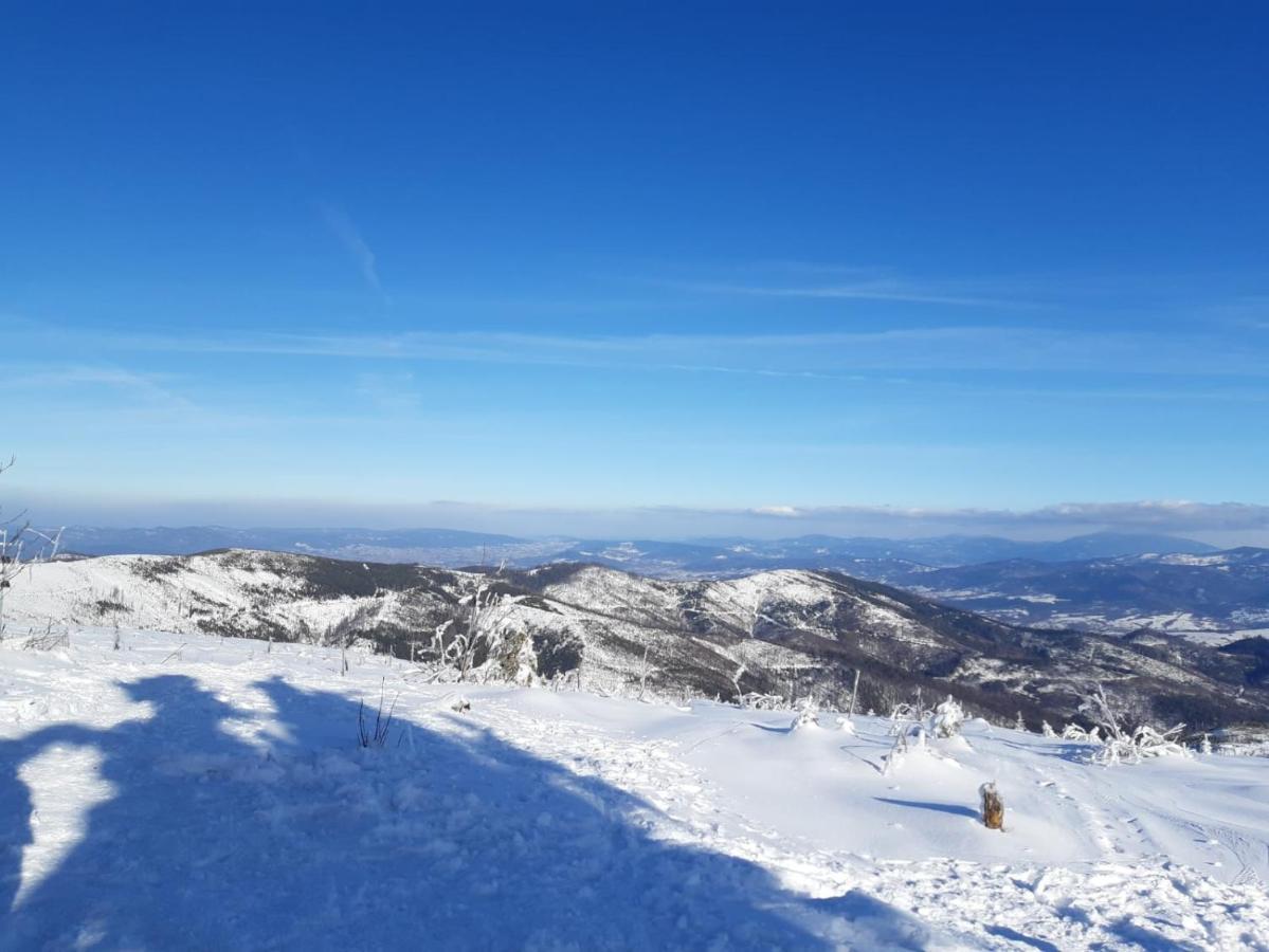 Chata Goralska Wojtasowka Kamesznica Extérieur photo