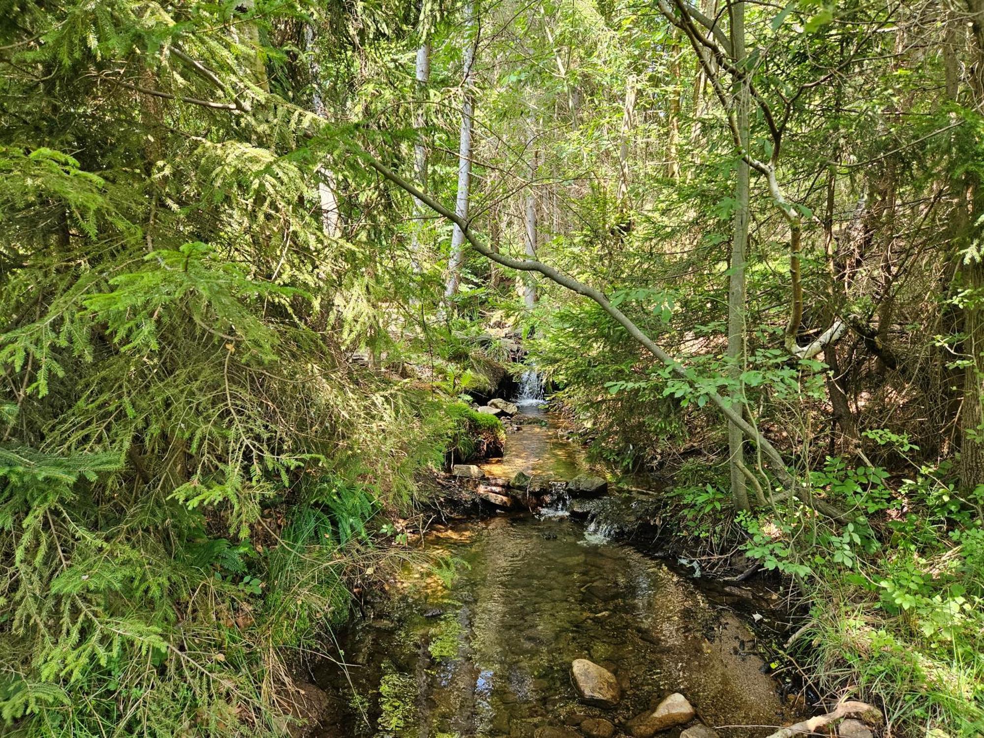 Chata Goralska Wojtasowka Kamesznica Extérieur photo