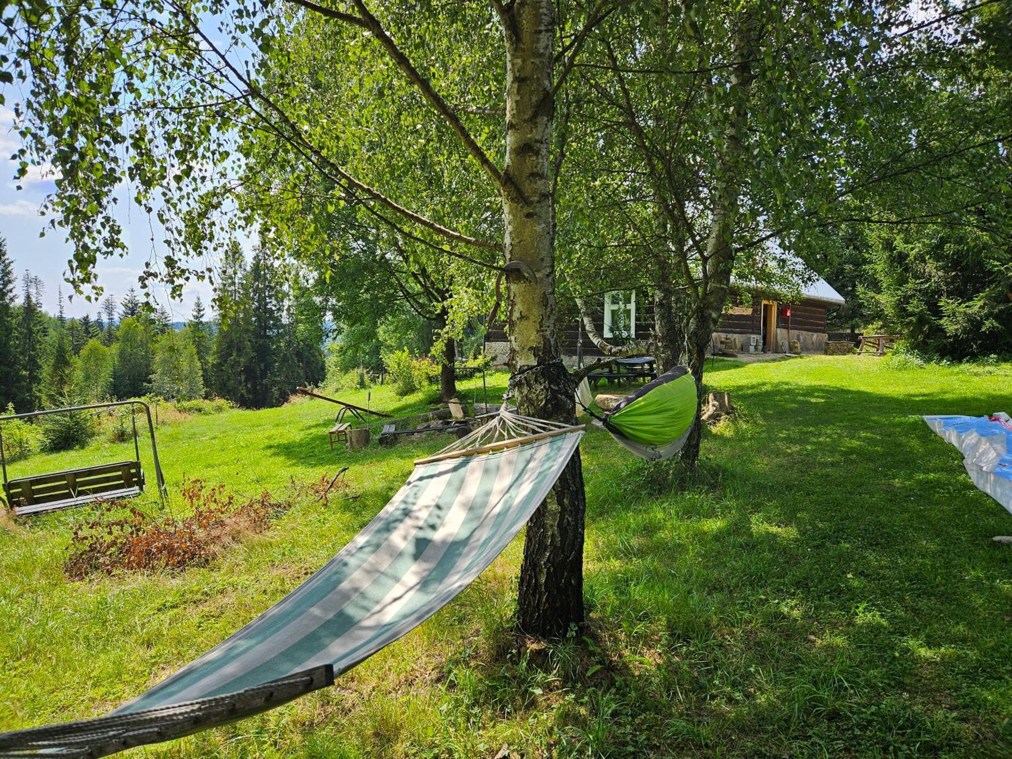 Chata Goralska Wojtasowka Kamesznica Extérieur photo