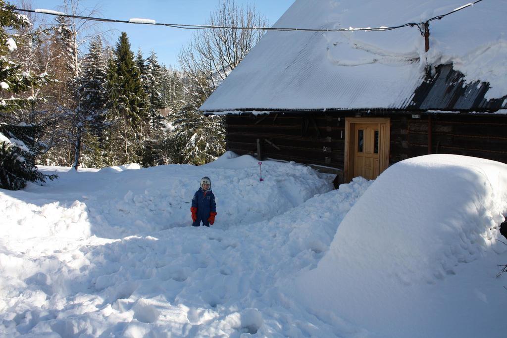 Chata Goralska Wojtasowka Kamesznica Extérieur photo