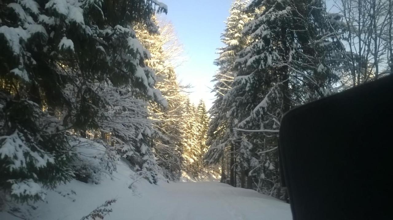 Chata Goralska Wojtasowka Kamesznica Extérieur photo
