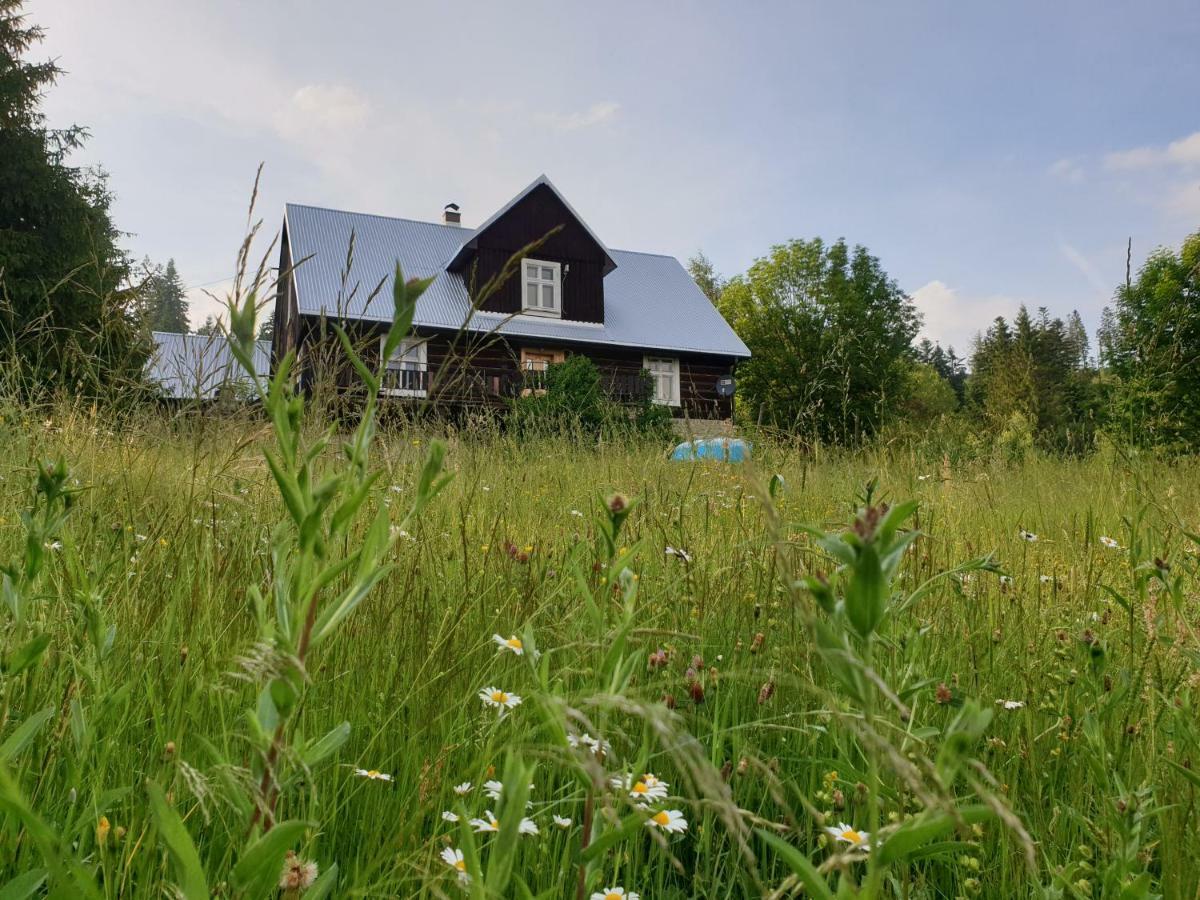 Chata Goralska Wojtasowka Kamesznica Extérieur photo